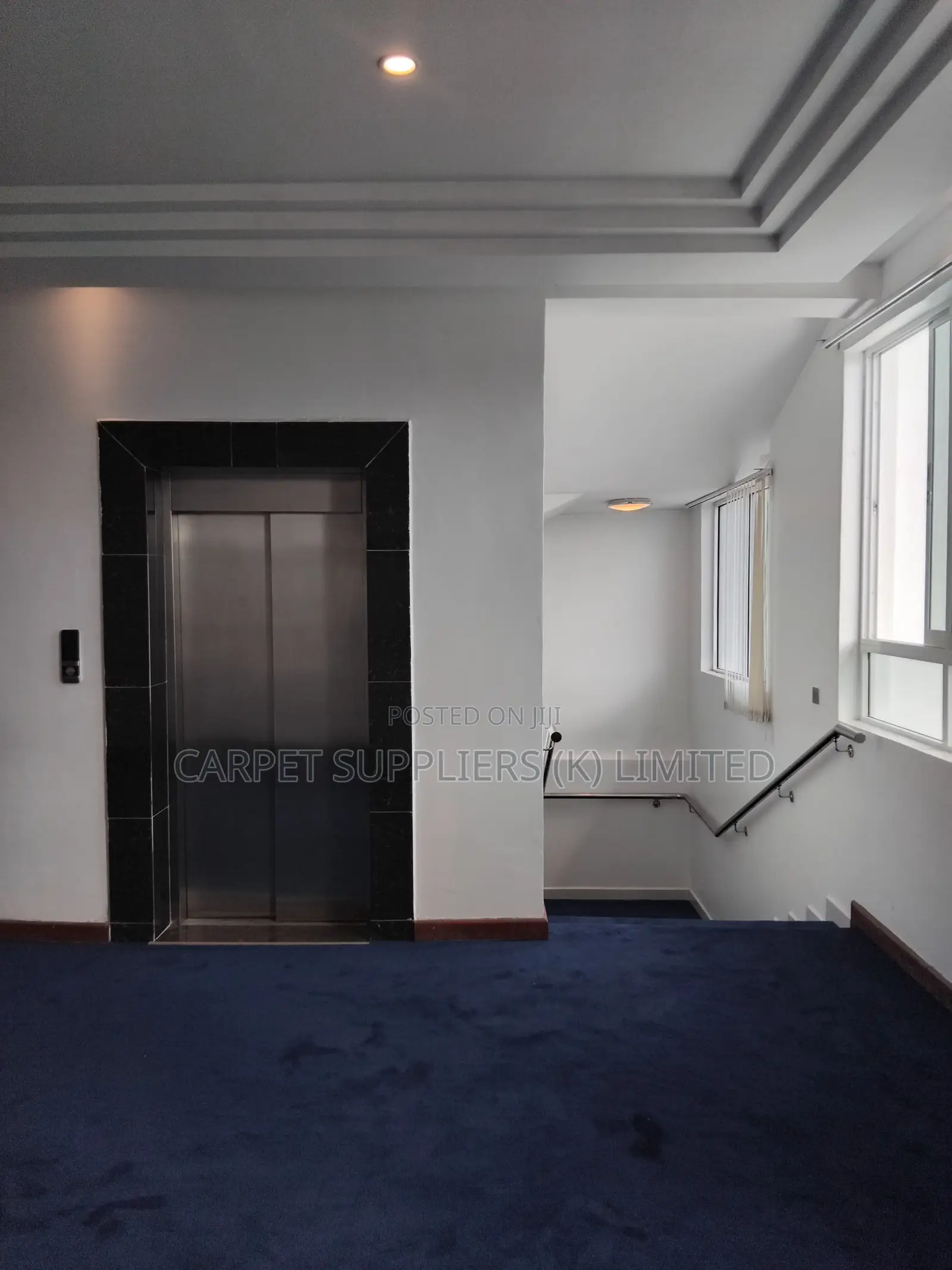 Blue Carpets