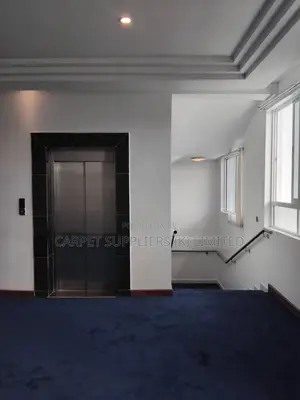 Blue Carpets