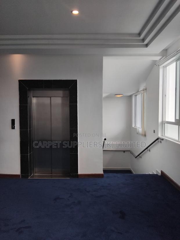 Blue Carpets