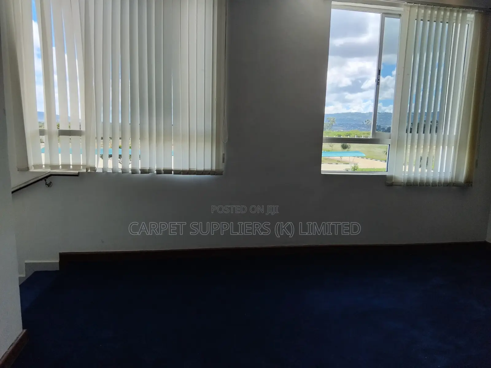Blue Carpets