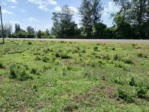 Quarter an Acre(100*100) Mang'u Mastoo