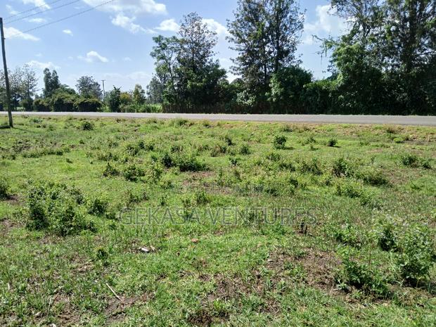 50*100 Mang'u Mastoo - main view