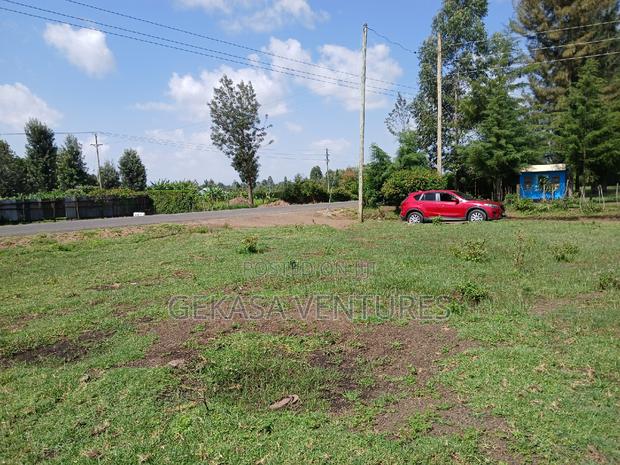 50*100 Mang'u Mastoo - thumbnail 2