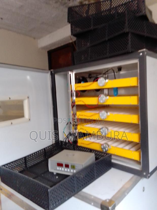 Incubator 300eggs Incubator - main view