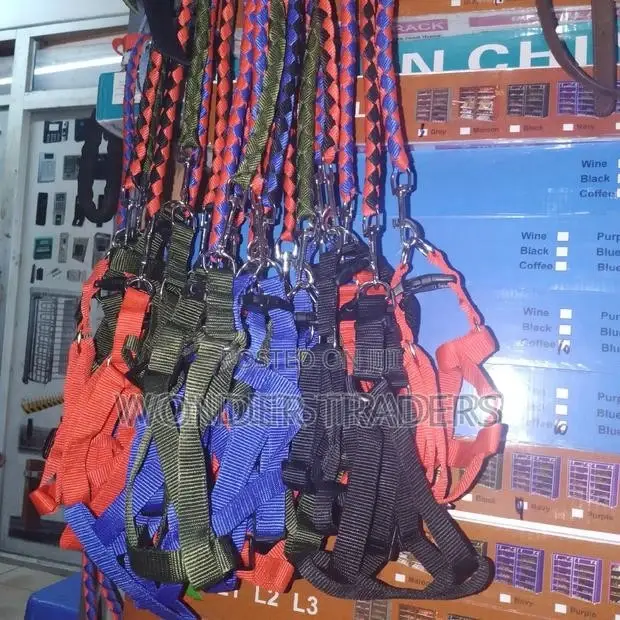 Dog Leash = (Harness+Loop)