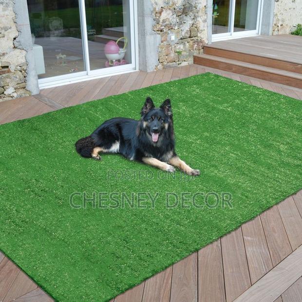Artificial Grass Carpet Artificial Grass Carpet