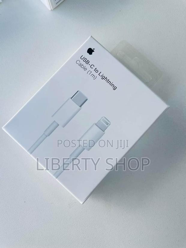 iPhone 11 12 13 13 Pro 14 Pro Type C to iPhone Cable - thumbnail 2