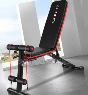 Bench Gym,Modern.