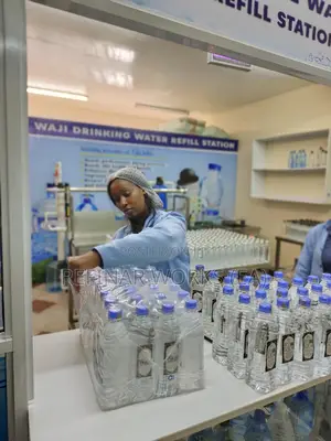 Assist Starting a Water Purification Business in Kenya