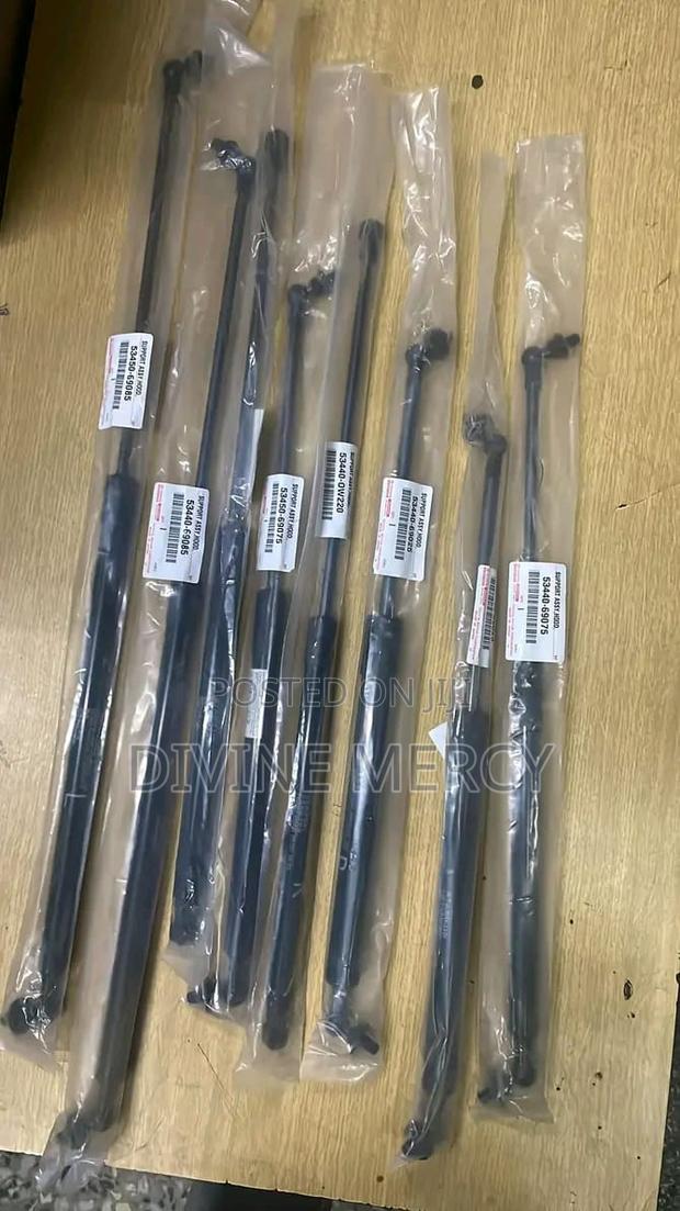 Car Boot Shock Toyota/ Nissan