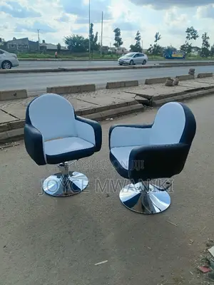 Salon Chairs With Hydraulic Machine, Black and White 