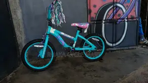 EX USA BMX Size 16