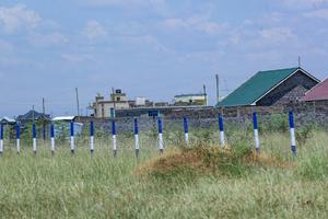 Gated Kamakis Plots for Sale ^JM - thumbnail 2