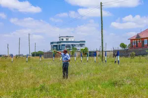 Gated Kamakis Plots for Sale ^JM
