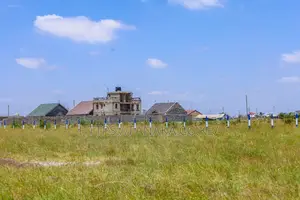 Gated Kamakis Plots for Sale ^JM