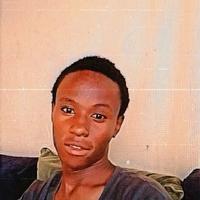 Darian Bluprint Cameras logo