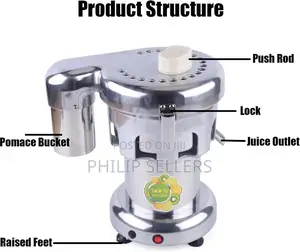 Commercial Electric Juicer Slow Juicer Desktop Stainless Ste