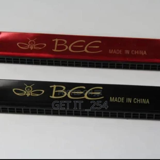 Small Harmonica 480 Doz - main view