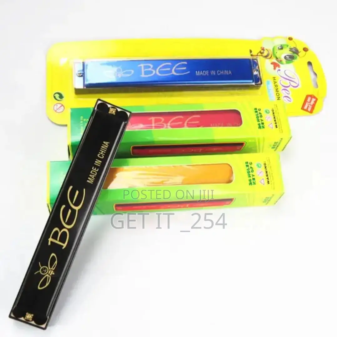 Small Harmonica 480 Doz