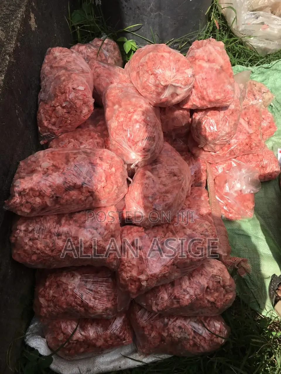 Fresh Dog Food