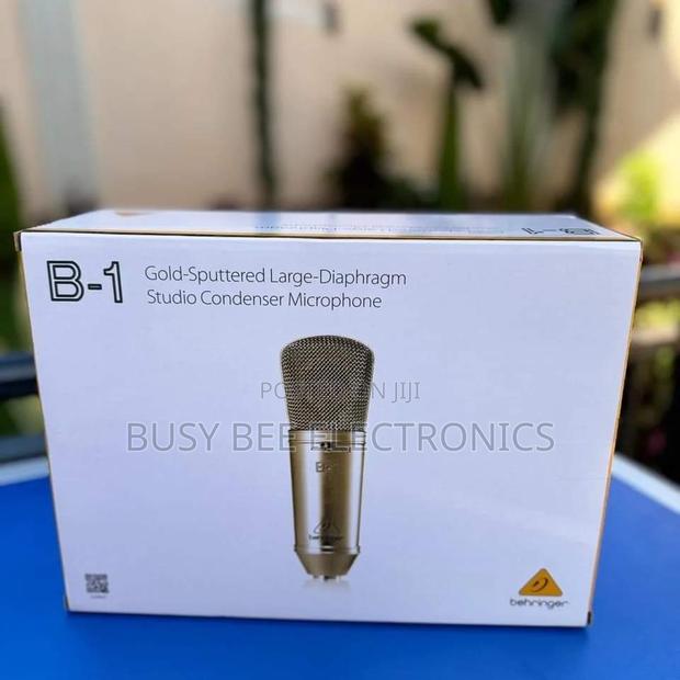Single Diaghram B1 Behringer Studio Microphone - main view