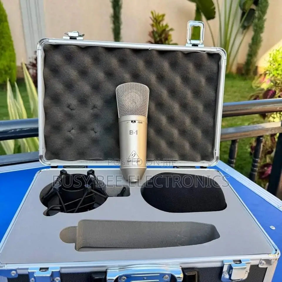 Gold-Sputtered Large-Diaphragm Studio Condenser Microphone