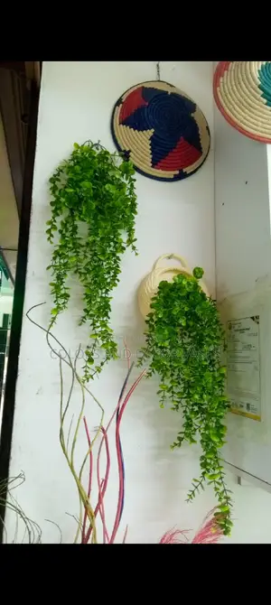 Vines Artificial and Vase Offer Price