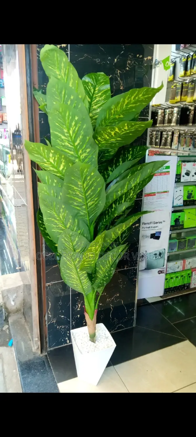 Yellow Green Big Plant
