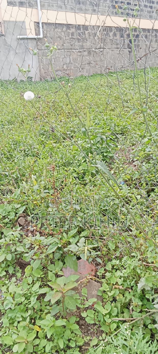 Muimara 30ft by 66ft Plot for Sale - thumbnail 7