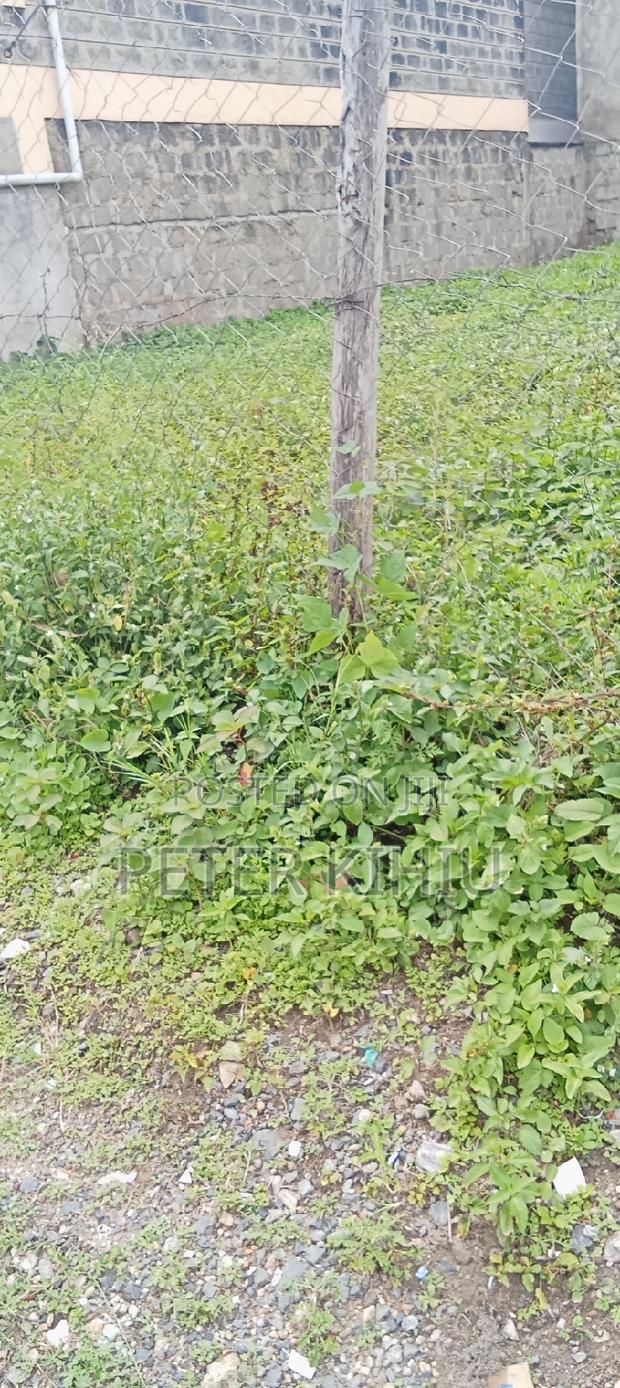 Muimara 30ft by 66ft Plot for Sale - thumbnail 11