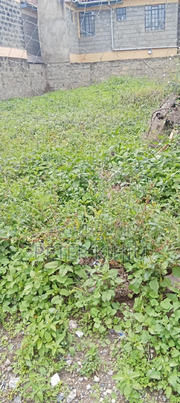 Muimara 30ft by 66ft Plot for Sale - thumbnail 15