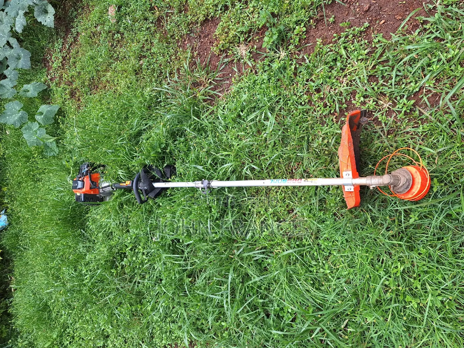 Brush Cutter for Hire , Comes With Multifunctional Heads