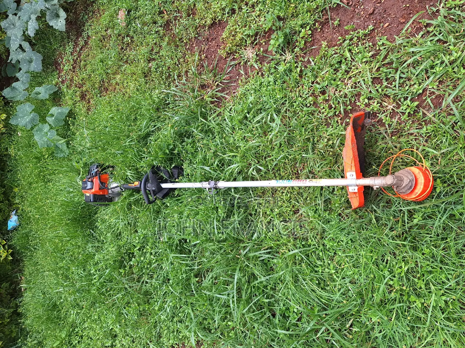 Brush Cutter for Hire , Comes With Multifunctional Heads