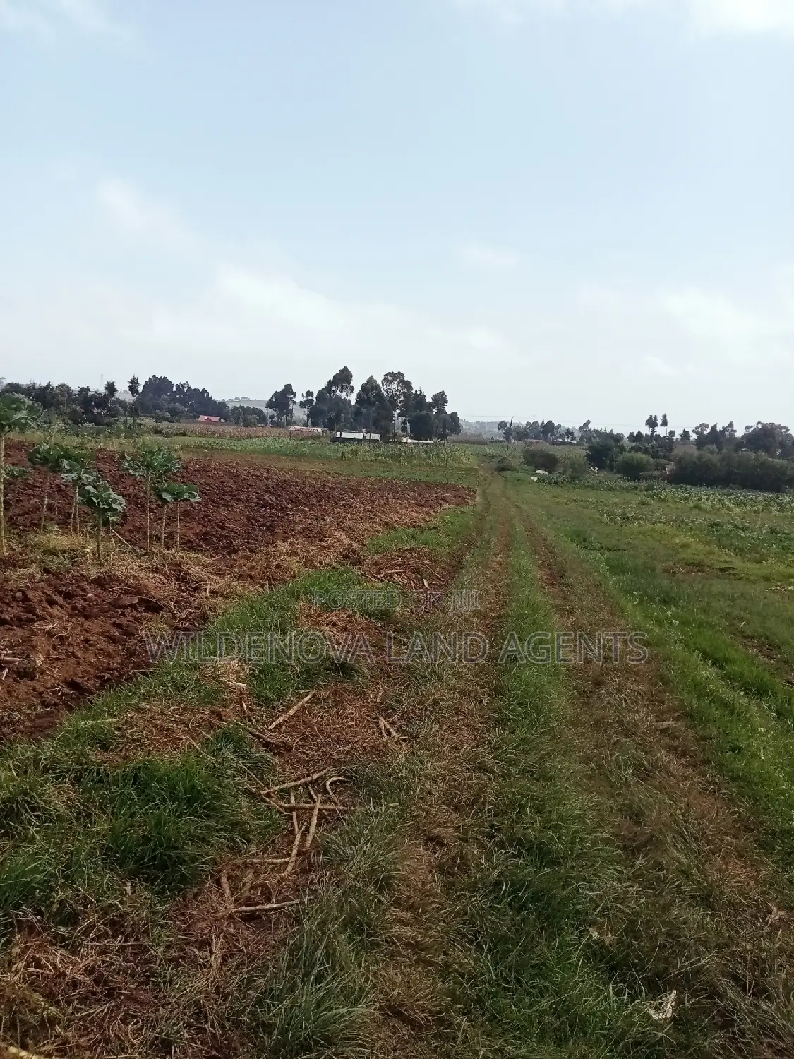 Land on Sale at Ihindu Naivasha