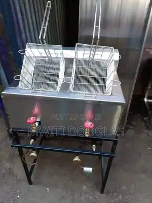 Ss Gas Chips Fryer