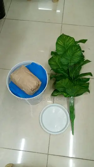 Plant, Vase and Pebble Stones