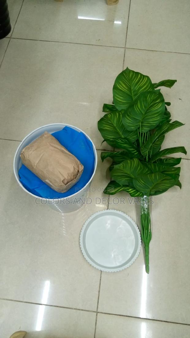 Plant, Vase and Pebble Stones - main view