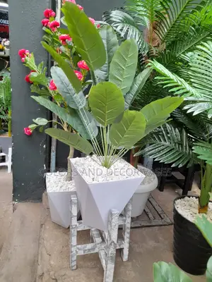 Banana Plant, Stand And Vase