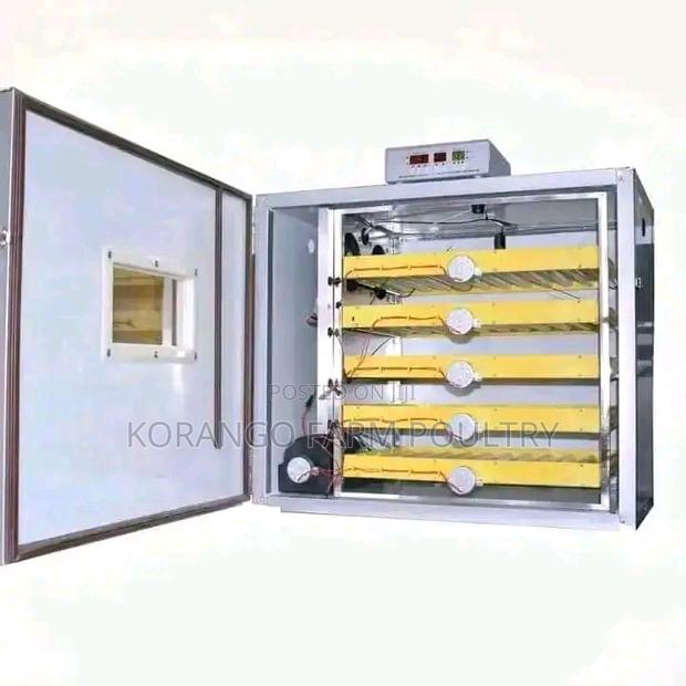 300 AC DC Solar Powered Incubator - main view