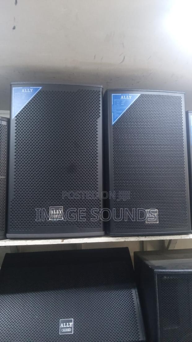 Ally Audio Midrange Loud Speakers 15inch (800-1000 Watts)