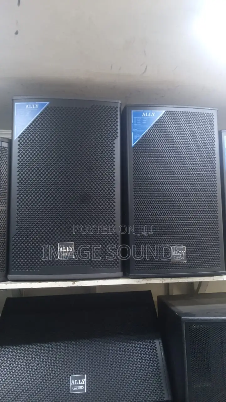 Ally Audio Midrange Loud Speakers 15inch (800-1000 Watts)
