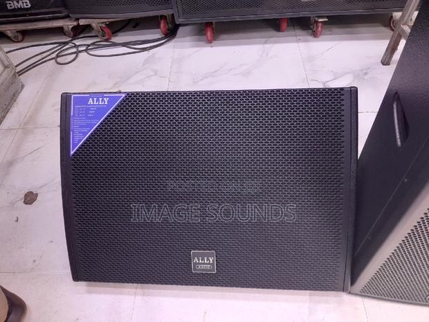 Ally Audio Monitor Speaker 15inch M115 (800 Watts)