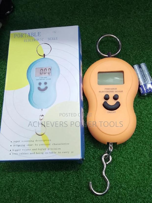 Weighing Scale/ 50kg Hanging Scale - main view