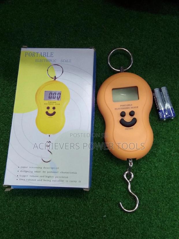 Portable Electronic Scale 50kg - main view