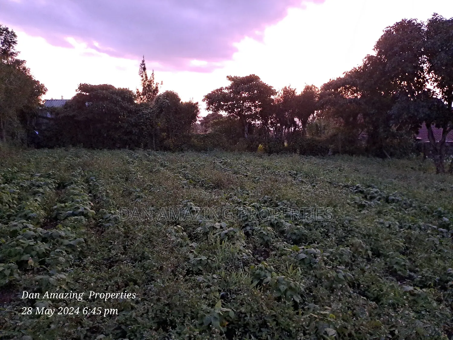 1/4 Acre for Sale in Ngong Kibiko Valley Road