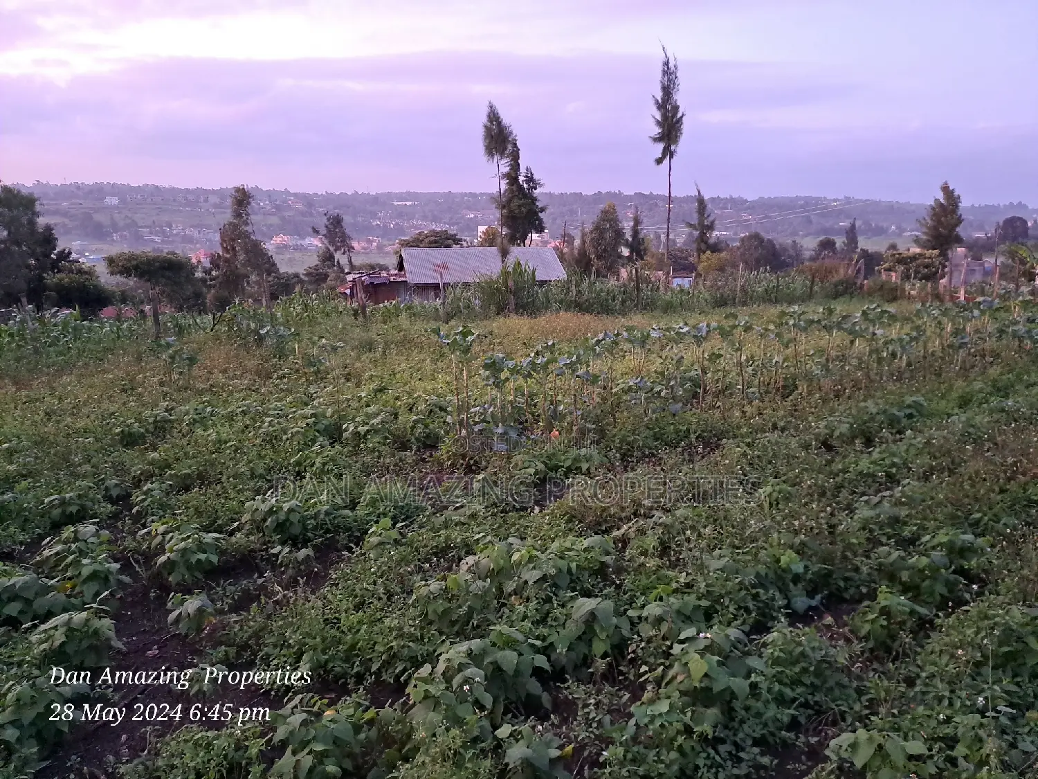 1/4 Acre for Sale in Ngong Kibiko Valley Road