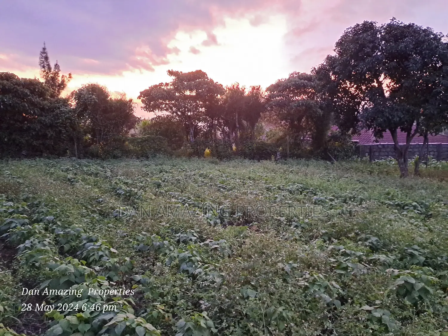 1/4 Acre for Sale in Ngong Kibiko Valley Road