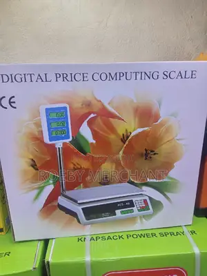 Digital Price Computing Scale/Digital Scale