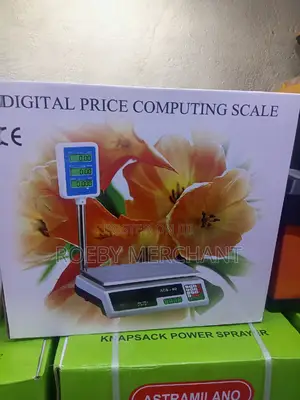 Smart Acs 30 Digital Weighing Scale