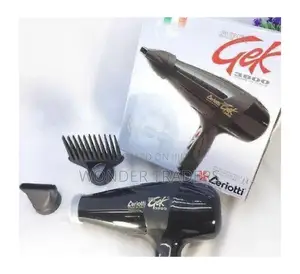 Gek 3800 Professional Blow Dryer